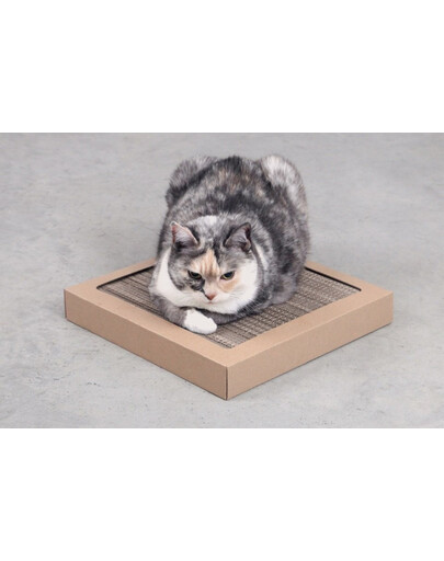 CARTON+ PETS Pappkasside kraapija Tom