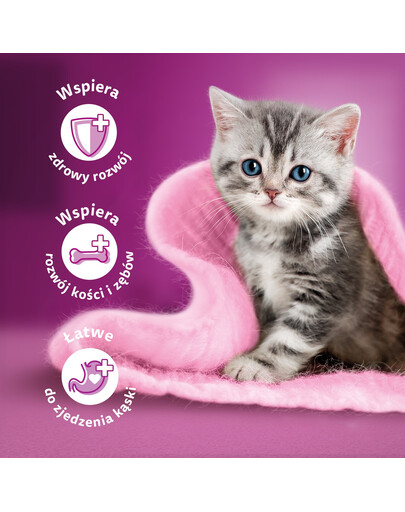 WHISKAS Junior kotike 48x85g Drobiowe Frykasy märja kassitoiduga želees: kana, kalkun, linnuliha, pardi