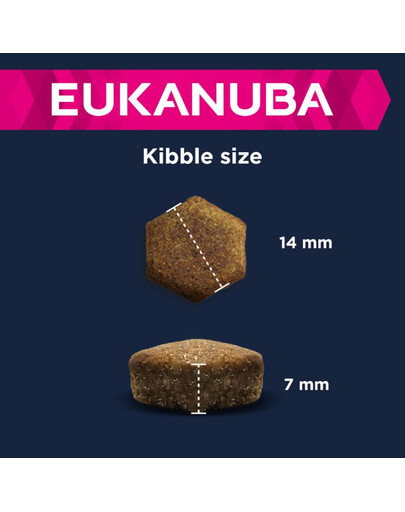 Eukanuba Senior All Breeds Lamb & Rice 12 kg vanemate väikeste ja keskmiste tõugude koertele mõeldud toit lambaliha ja riisiga.