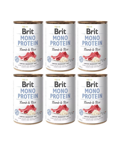 BRIT Mono Protein Lamb & Rice 6x400 g Monoproteiinne lambaliha ja riisiga toit