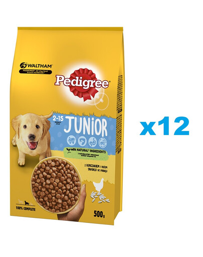 PEDIGREE Sucha karma z kurczakiem Junior 12x500g dla młodych psów średnich ras