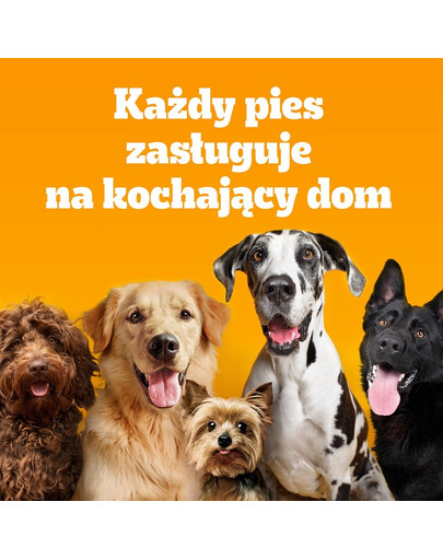 PEDIGREE Adult Mini kuivtoit kodulinnuliha ja köögiviljadega väikestele, alla 10 kg kaaluvatele tõukoertele 12x500g