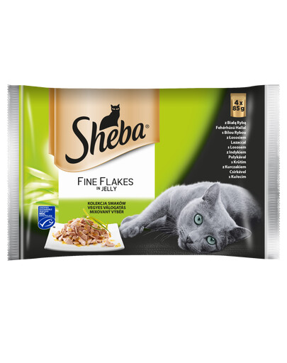 Sheba Delicacy Selection of Flavours 4x85g õrnad tükkid sulavas želees valikus on  lõhe, valge kala, kana, kalkun