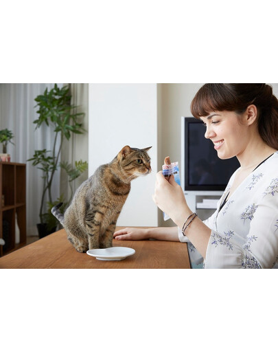 INABA CIAO Kana filee grillitud kanapuljongis 25 g