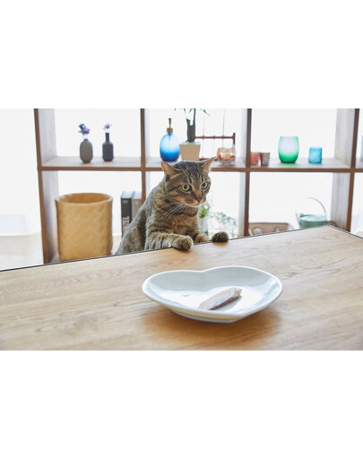INABA CIAO Kana filee grillitud kanapuljongis 25 g
