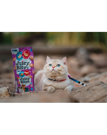 INABA Juicy Bites märjad maiuspalad koduse puljongiga ja kalmaariga kassidele 33,9 g (3x11,3 g)