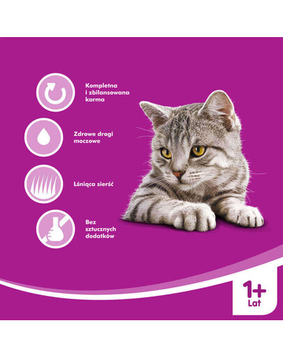 WHISKAS konserv kassidele lõhega 100 g