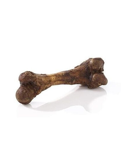 MACED Parma Ham Bone kont