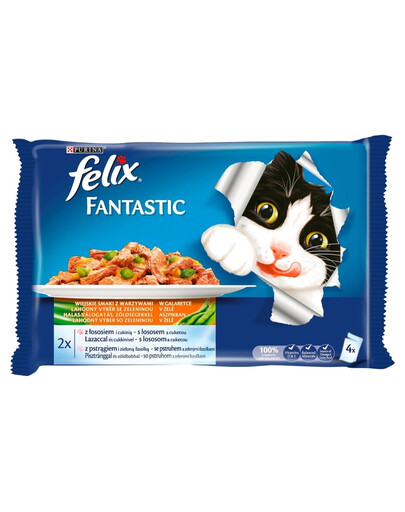 FELIX Fantastic with Salmon and Trout 40 x100g