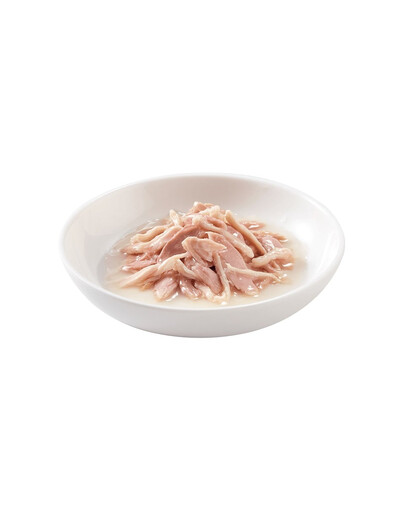 Schesir tuunikala kanalihaga 70 g