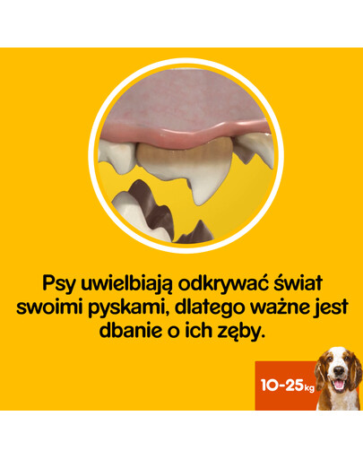 Pedigree Dentastix keskmise suurusega koertele 8 X180 g