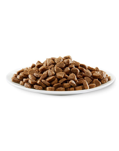 APPLAWS Cat Kitten Chicken 400g kanaga kassipoegadele
