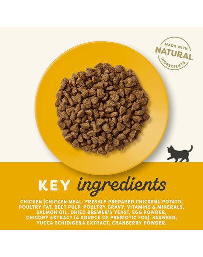 APPLAWS Cat Kitten Chicken 400g kanaga kassipoegadele