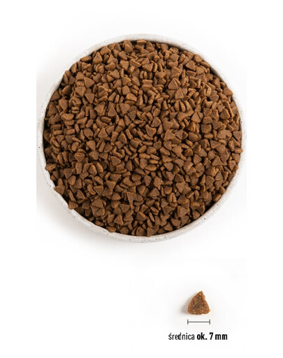 ACANA First Feast Cat 1,8 kg Kuivtoit vabapidamisel oleva kana ja terve heeringaga kassipoegadele.