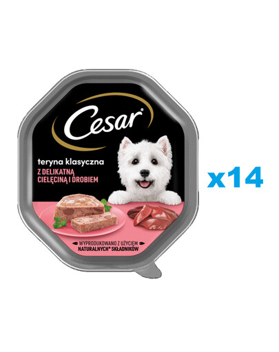 CESAR alus 14x150 g täisväärtuslik märgtoit täiskasvanud koertele teryna õrna veiseliha ja linnulihaga