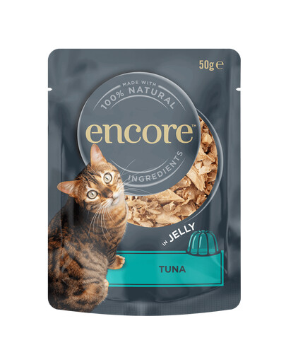 ENCORE Cat Multipak kalamaitsesegu želees kassidele 20x50g