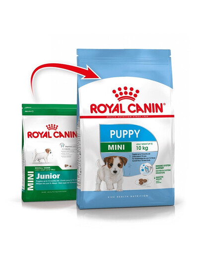 ROYAL CANIN Mini Puppy / Junior kuivtoit kutsikatele, 2 kuni 10 kuud, väikestele tõugudele 2 x 800 g