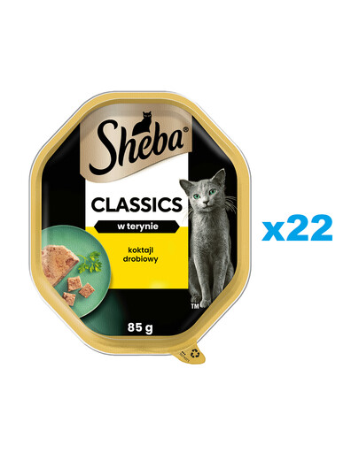 SHEBA tacka Classics Koktajl Drobiowy 22x85g - mokra karma pełnoporcjowa dla dorosłych kotów, w pasztecie