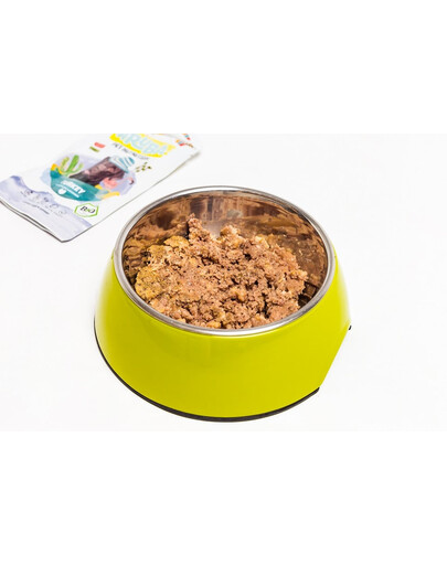 ARUBA Dog Organic Indyk z owsem, burakami i karczochami 100 g
