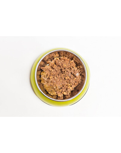 ARUBA Dog Organic Indyk z owsem, burakami i karczochami 100 g