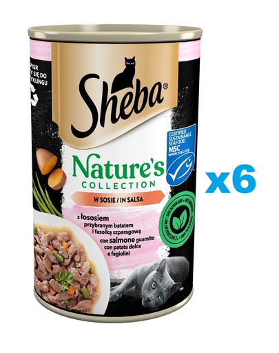 SHEBA puszka 6 x 400 g Nature's Collection mokra pełnoporcjowa karma dla dorosłych kotów z łososiem przybranym batatem i fasolką szparagową w sosie