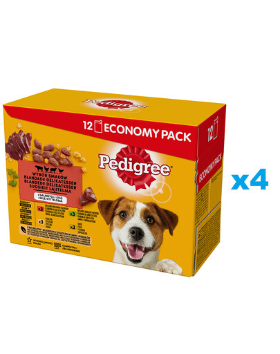 PEDIGREE Adult Maitsete valik 48×100 g — täisväärtuslik märgtoit täiskasvanud koertele želees: veiselihaga, kanalihaga, lambalihaga ja linnulihaga.
