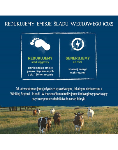 BUTCHER'S Original Recipe in Gravy, karma dla psa, kawałki z indykiem w sosie, 400g