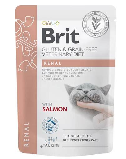 Veterinary Diet Grain Free Renal Cat Fillets in Gravy Salmon 12x85g dla kotów wspomagająca funkcje nerek