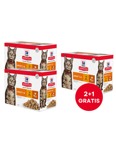 HILL'S Science Plan Feline Adult Multipack Poultry Selection 85 g x12 Szt (2+1 GRATIS)