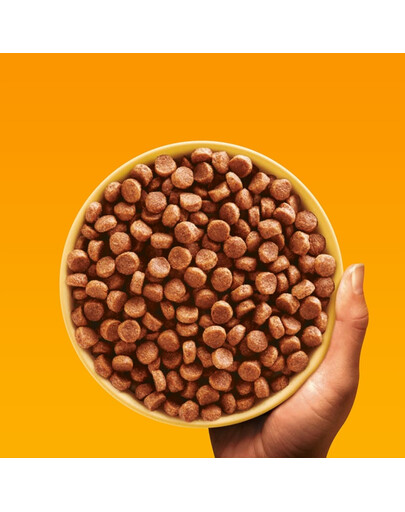 PEDIGREE Professional Nutrition Junior z Drobiem i Warzywami 12 kg dla szczeniąt ras średnich i dużych