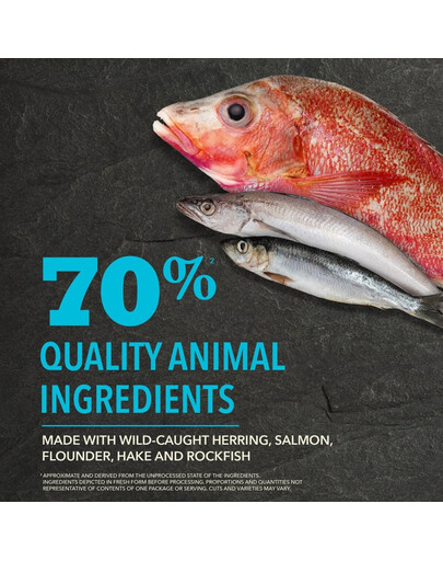 Pacifica Dog 11,4 kg