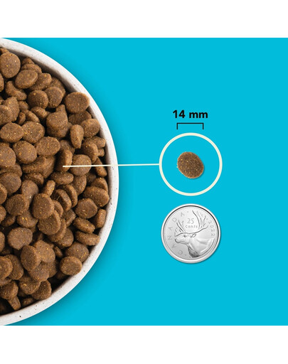 Pacifica Dog 11,4 kg