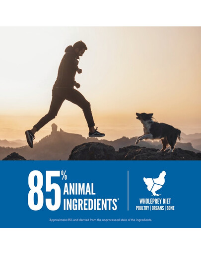 ORIJEN Original Dog 2 kg