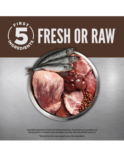 ORIJEN Regional Red Cat 340 g