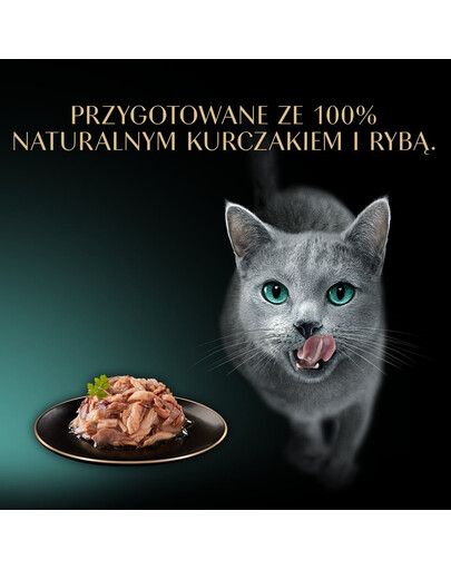 SHEBA Filets z kurczakiem i tuńczykiem w sosie 60 g mokra karma dla kotów