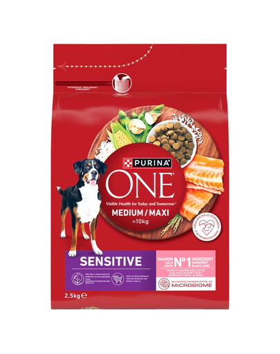 ONE Medium Maxi Adult Sensitive Salmon and Rice 2,5 kg z łososiem i ryżem, sucha karma dla średnich i dużych psów o wrażliwym układzie pokarmowym