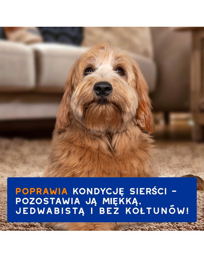 DOUXO Skin & Coat 2in1 Conditioning Shampoo 250 ml szampon z odżywką 2w1 dla psów