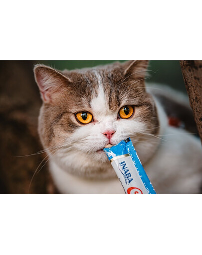 Churu Cat kremowy przysmak dla kota kurczak i krab 56 g