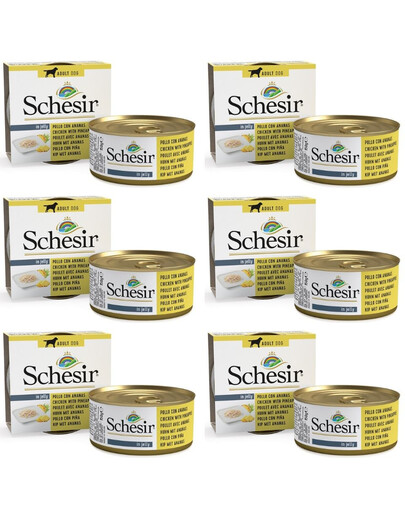 SCHESIR Fruit kurczak z ananasem 6x150 g