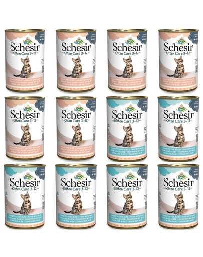 SCHESIR Kitten care 3-12 Zestaw tuńczyk i kurczak z aloesem w galaretce12x140g