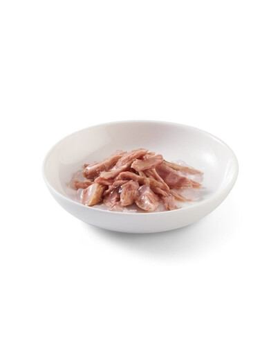 SCHESIR Tuńczyk w galarecie 6x50 g karma mokra dla kotów