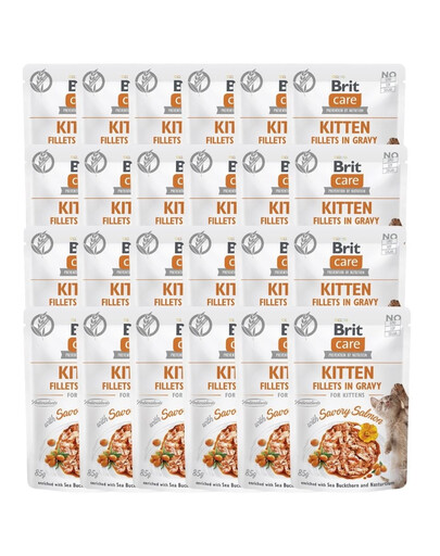 CARE Fillets in Gravy Pouch Kitten Savory Salmon 24x85g z łososiem dla kociąt