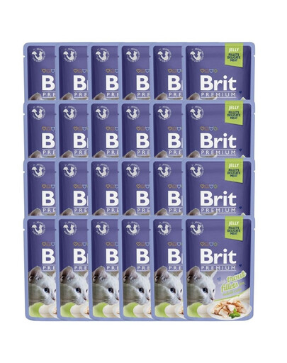 Premium Cat  Fillets in Jelly mokra karma z pstrągiem dla kotów 24x85 g