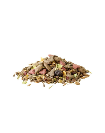 VERSELE-LAGA Crispy Muesli Guinea Pig 20 kg pokarm dla świnek morskich