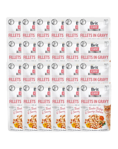 Care Fillets in gravy 24 x 85 g filety indyka i łososia w sosie