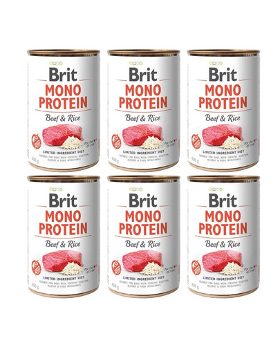 BRIT Mono Protein Beef & Rice 6x400 g monoproteinowa karma wołowina i ryż