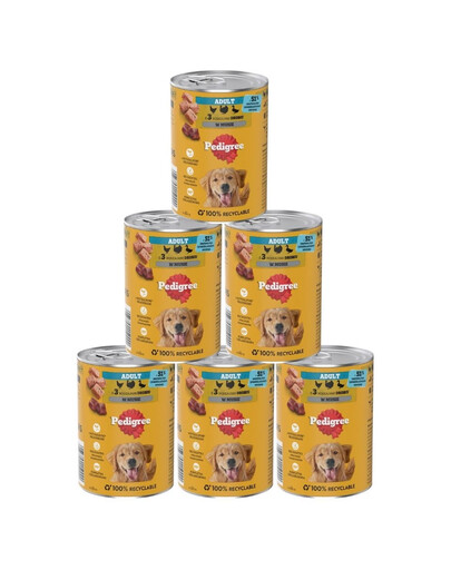 PEDIGREE Adult puszka 6x400 g mokra karma pełnoporcjowa dla dorosłych psów z 3 rodzajami drobiu w musie