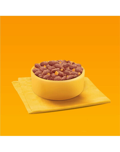 PEDIGREE Senior Wybór Smaków w Galaretce, 40 x 100 g