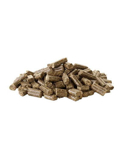 VERSELE-LAGA Crispy Pellets Rabbit 2 kg karma w formie pelletu dla królików