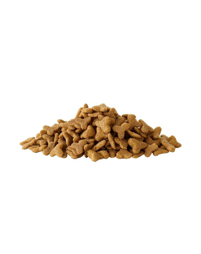 VERSELE-LAGA Crispy Extruded Pellets Ferret 1,75 kg karma w formie pelletu dla fretek